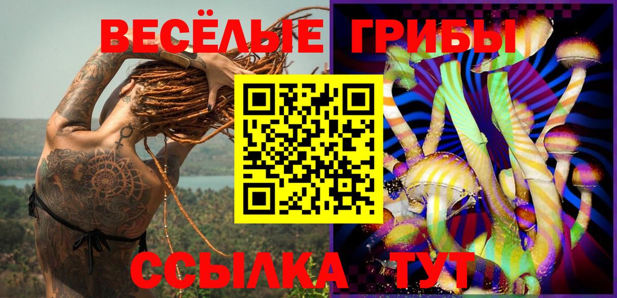 Галлюциногенные грибы Psilocybe Ревда